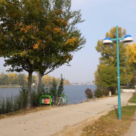 Bungalow At Lake Alte Donau Wien Exteriör bild