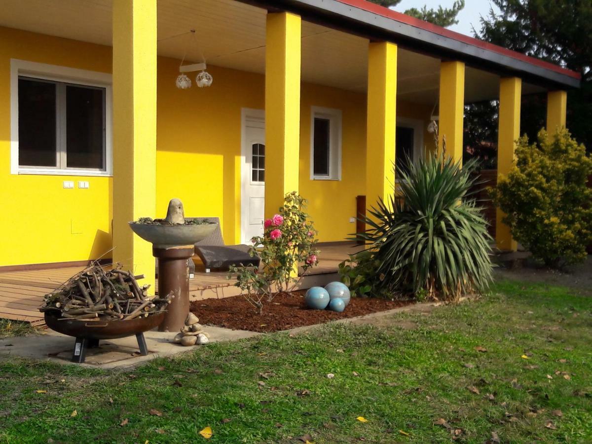 Bungalow At Lake Alte Donau Wien Exteriör bild