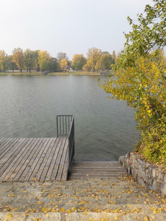 Bungalow At Lake Alte Donau Wien Exteriör bild